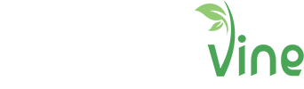 Website Design by The Graphic Vine